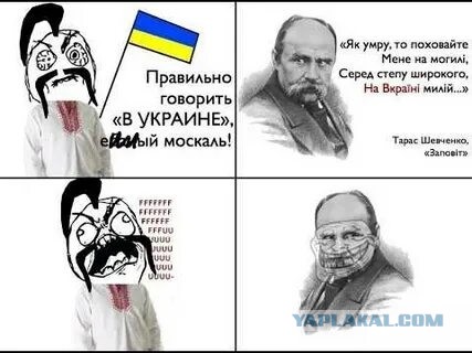 Украинские беженцы в Германии вынесли из арендованной квартиры даже унитаз