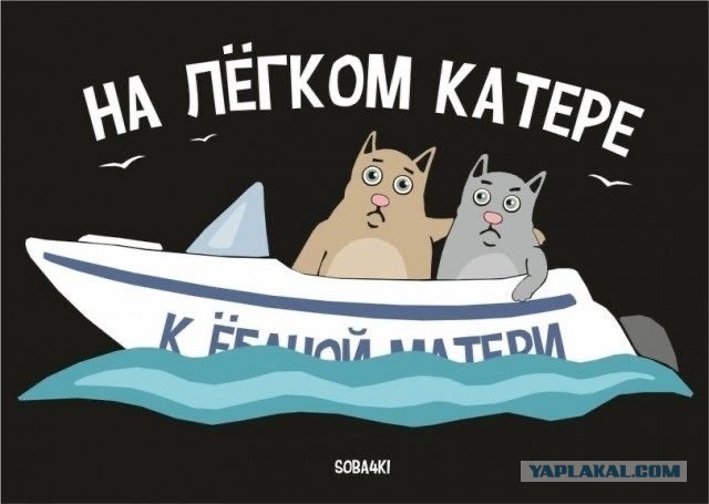 Инстасамка уехала из России