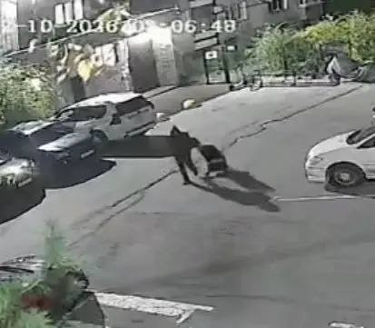 В Хабаровске будущий отец украл детскую коляску, чтобы подарить жене