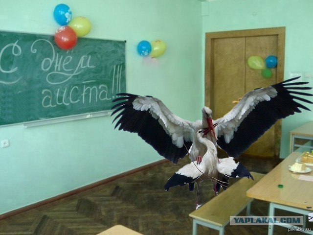 С Днём..