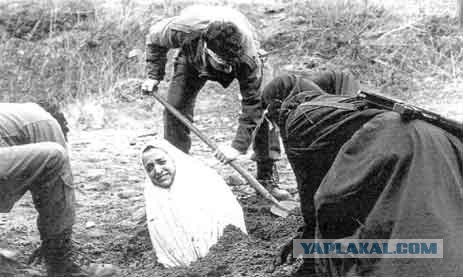 Визуализируем свои ники!