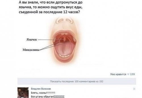 Смешные комментарии из социальных сетей
