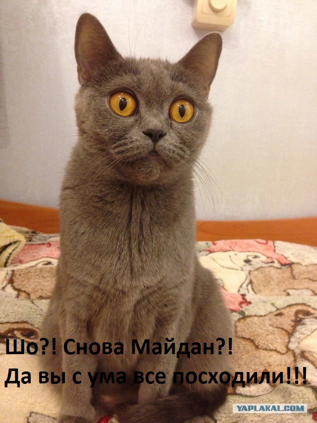 Сосиска