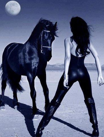 Черный волк