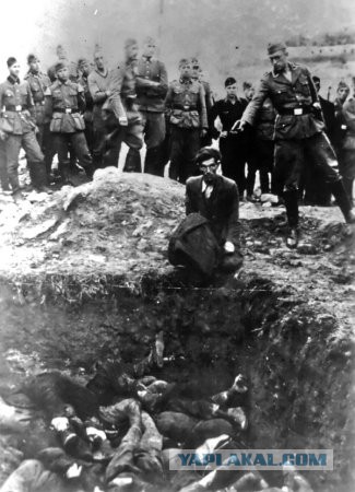 Великая Отечественная. Возвращение домой