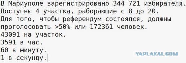 Подборка фото с референдума