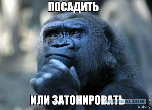 Сел в обезъянник за тонировку и бычку на ГИБДД