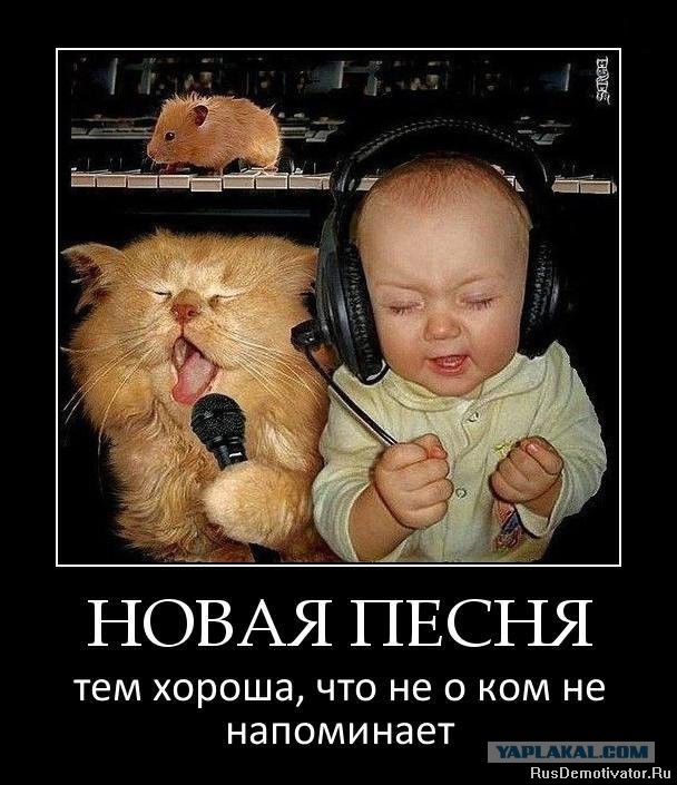 Добряки, плюсующие всех подряд