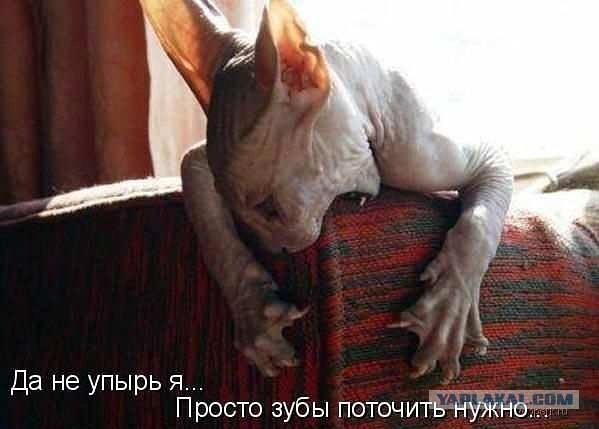 Поднимаем настроение