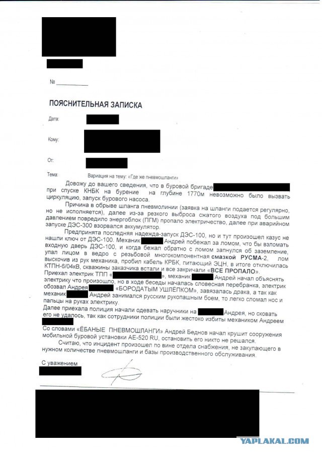 Ох уж эти местные