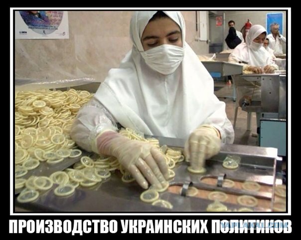 Солянка политическая #6