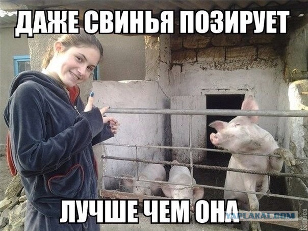 Веселости
