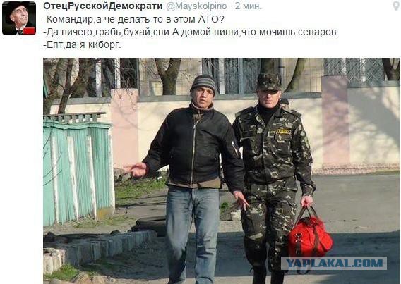 Перемирие кончилось, едва начавшись. Часть 11