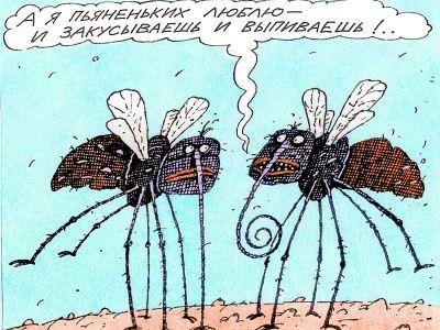 "Главное приключение лета" состоялось