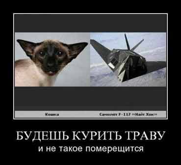Гипотезы происхождения жизни на Земле