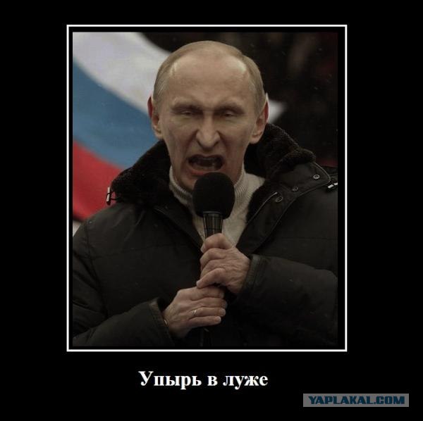 Митинг в СПб