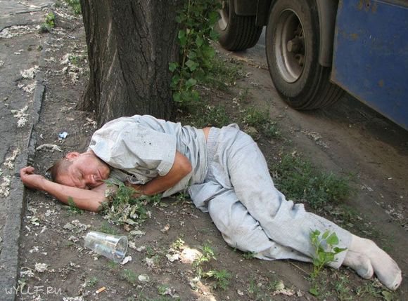 Кто и зачем сделал человеческую ДНК