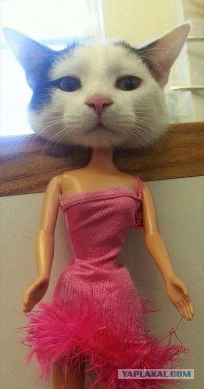Картинки на пятницу