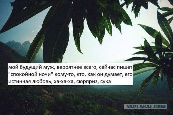 Картинки и приколы из соц.сетей и интернета