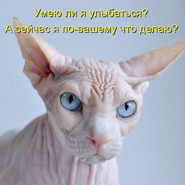 Картинки на пятницу