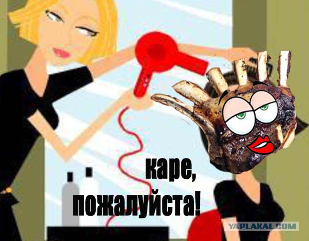 Полуфинал конкурса "Кулинар-2015" (Новички)