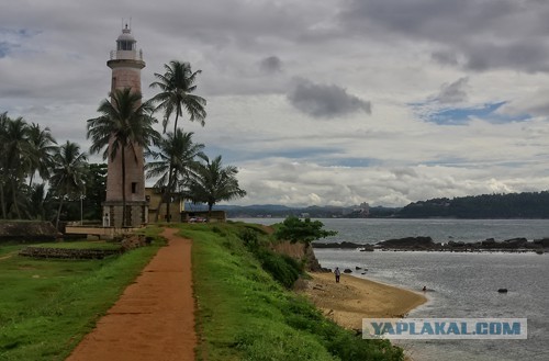 Самостоятельное путешествие в Шри-Ланку