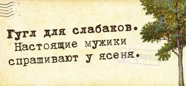 Чего мы не знали о деревьях