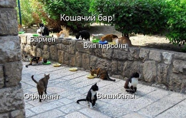 Подборка картинок