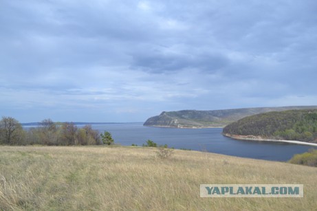 Я узнал, что у меня есть огромная семья