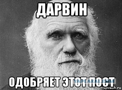 После щелчка фотоаппарата их не стало
