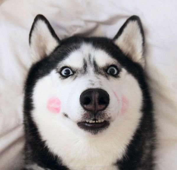 Подборка картинок