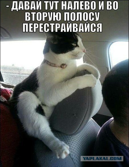 Автомобили и Люди