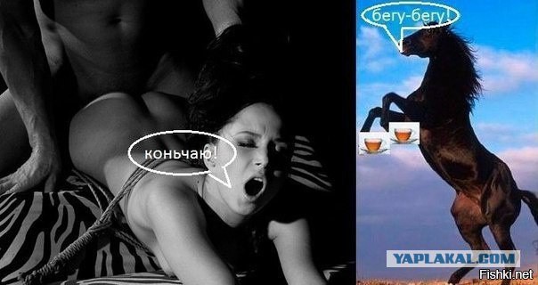 Картинки из ваших интернетов, 18+