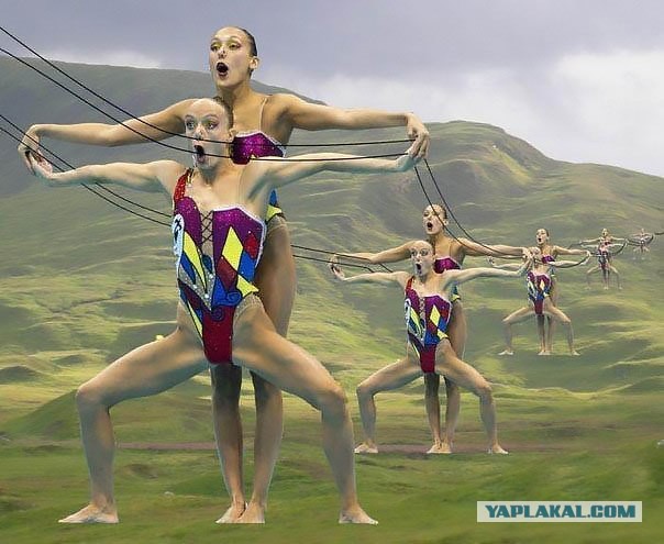 Абсурдный юмор ч. 23