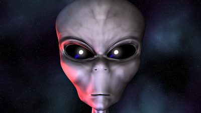 Удивительные факты