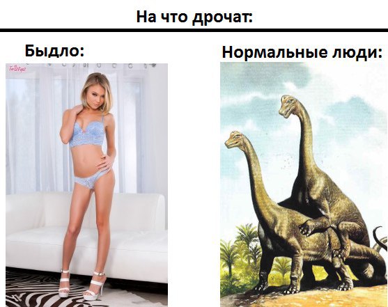 День открытых дверей в палате №6