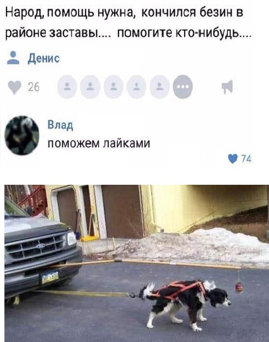 Смотри приколы и тупей