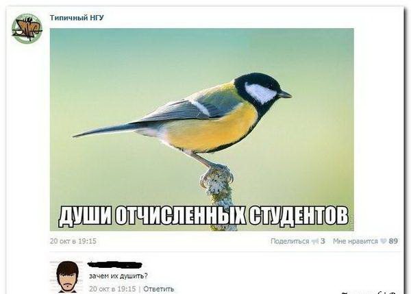 Смешные комментарии из социальных сетей