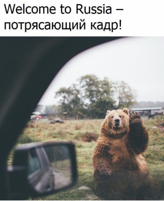 Подборка интересных и веселых картинок