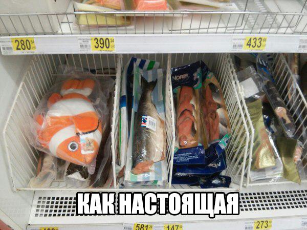 Подборка безудержного веселья