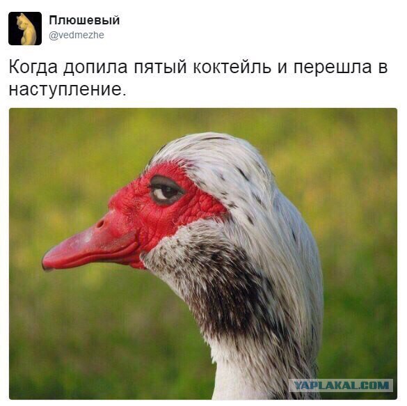 Вопрос для девочек