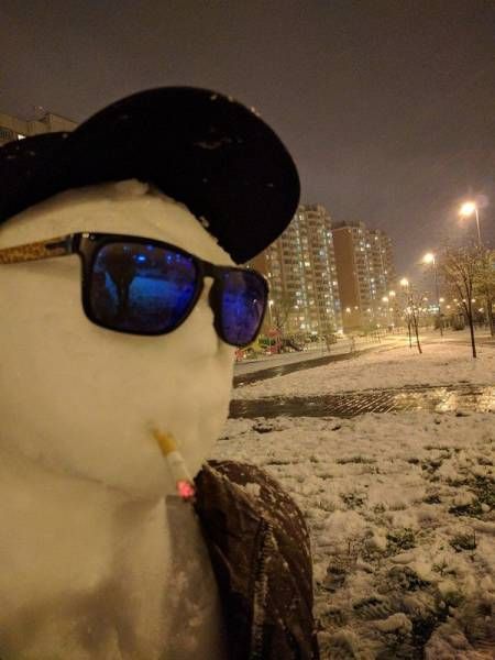 Подборка безудержного веселья