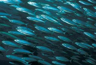 Шок! Москва, которой нет (фото)