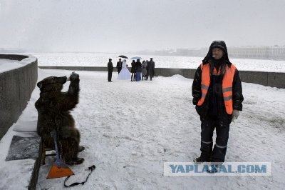 Скучно что-то стало.