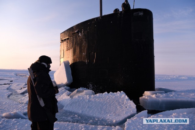 Гордость ВМС США застряла во льдах Арктики во время учебных стрельб по «России»
