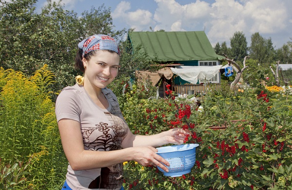 Когда тело просит #сказочноебали, а денег только на билет до деревни