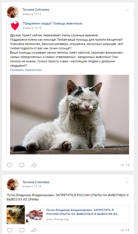 Помогите вернуть кота! Приют "Преданное сердце" украл кота и не отдает!-2