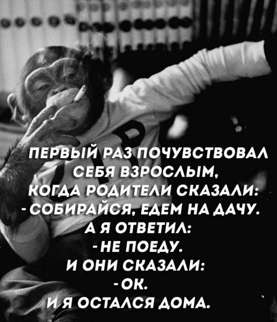 Смотреть!  Кому, ржать? Кому, плакать...