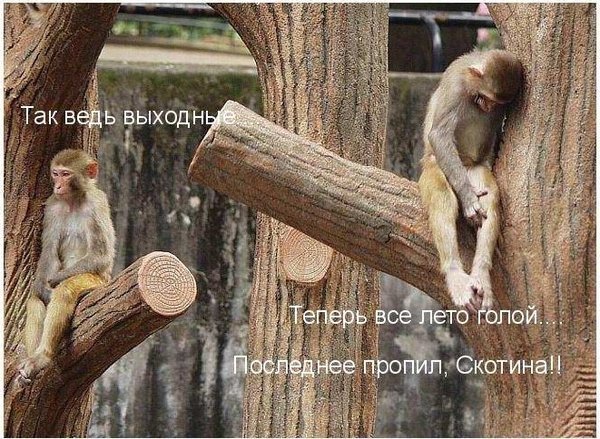 Чуток картинок.  Вечерние