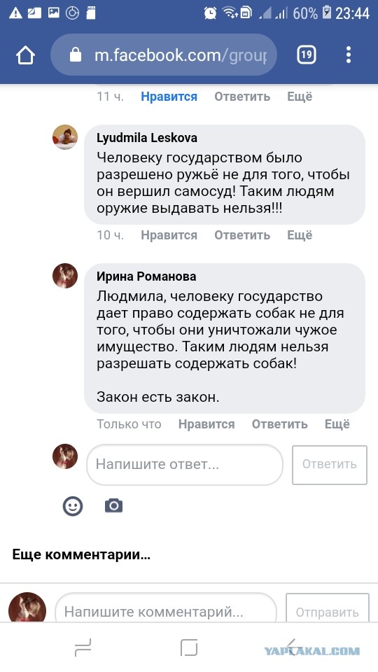 «За пять минут 50 гусей перегрызла»: челябинский охотник, застреливший хаски, рассказал свою версию